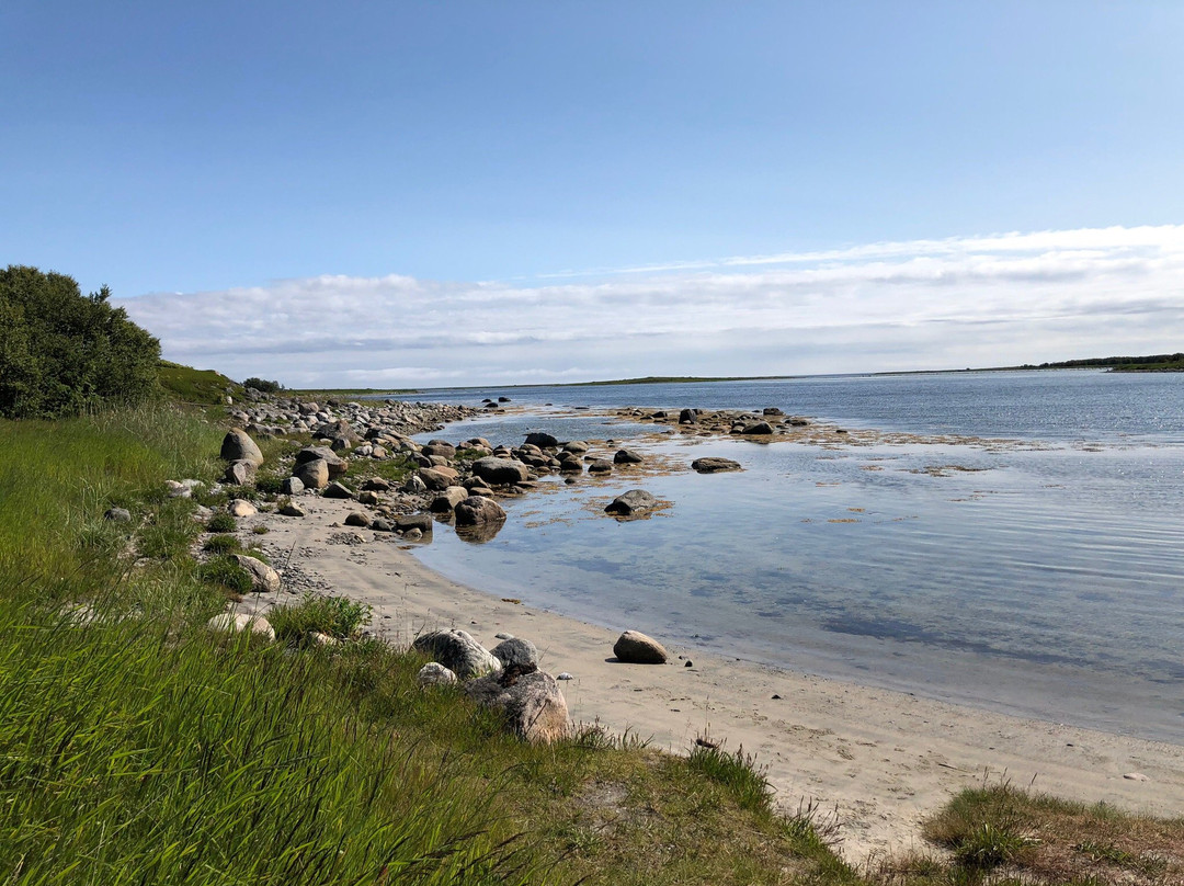 Labyrinths of Big Zayatskiy Island景点图片