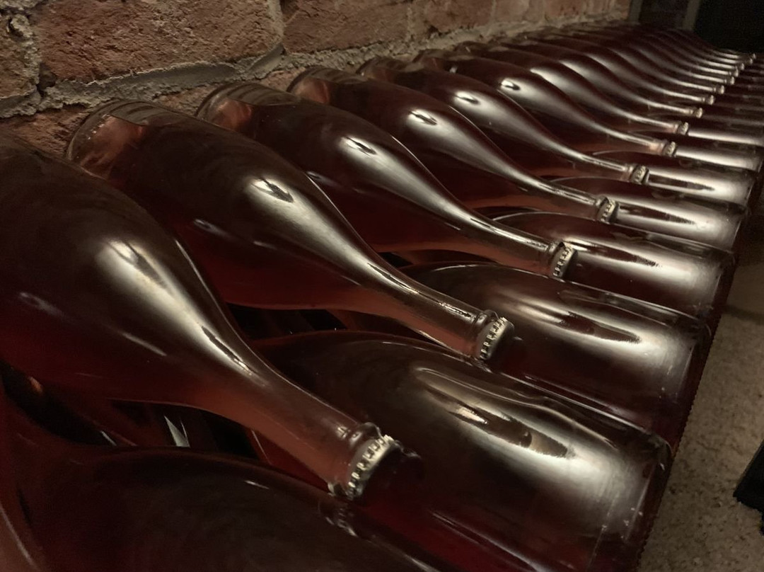 Ebiking-Canelli必去景点