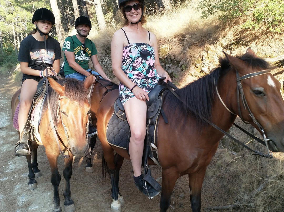 Panouris Ranch-Samos Town必去景点