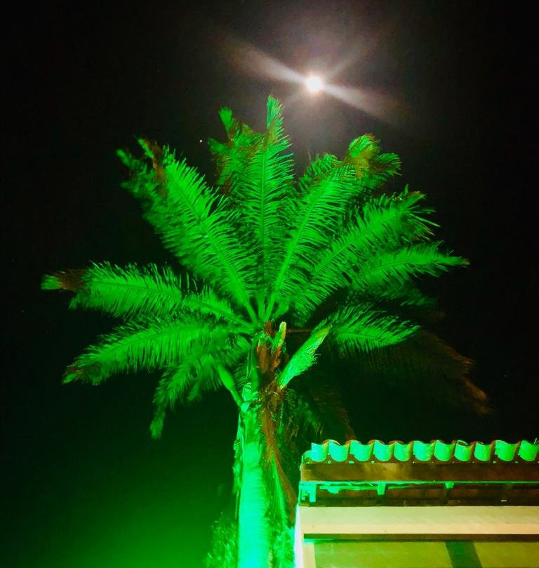 Pousada Palmeira Imperial主图