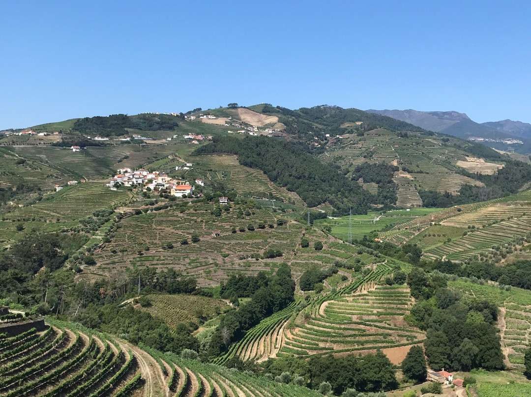 Quinta Da Gaivosa景点图片
