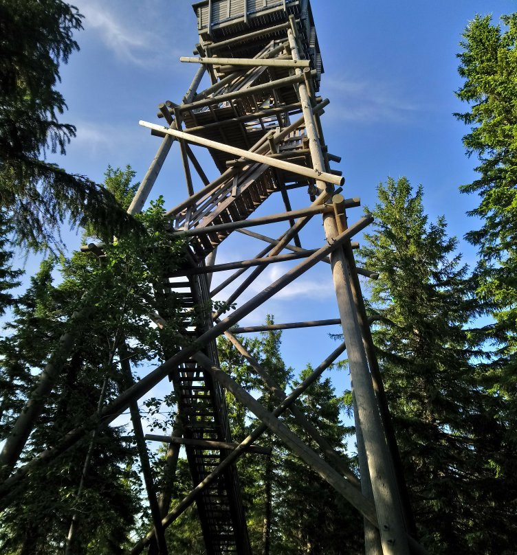 Räsävaara Observation tower-Koli National Park必去景点