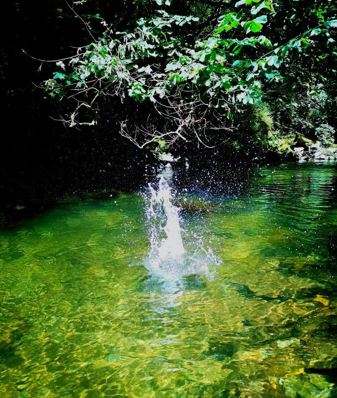 Watersmeet Trail景点图片