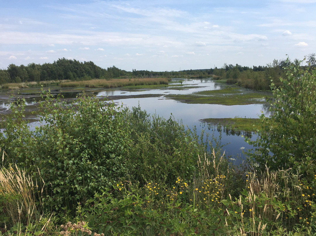 Internationaler Naturpark Bourtanger Moor-Bargerveen-Twist必去景点