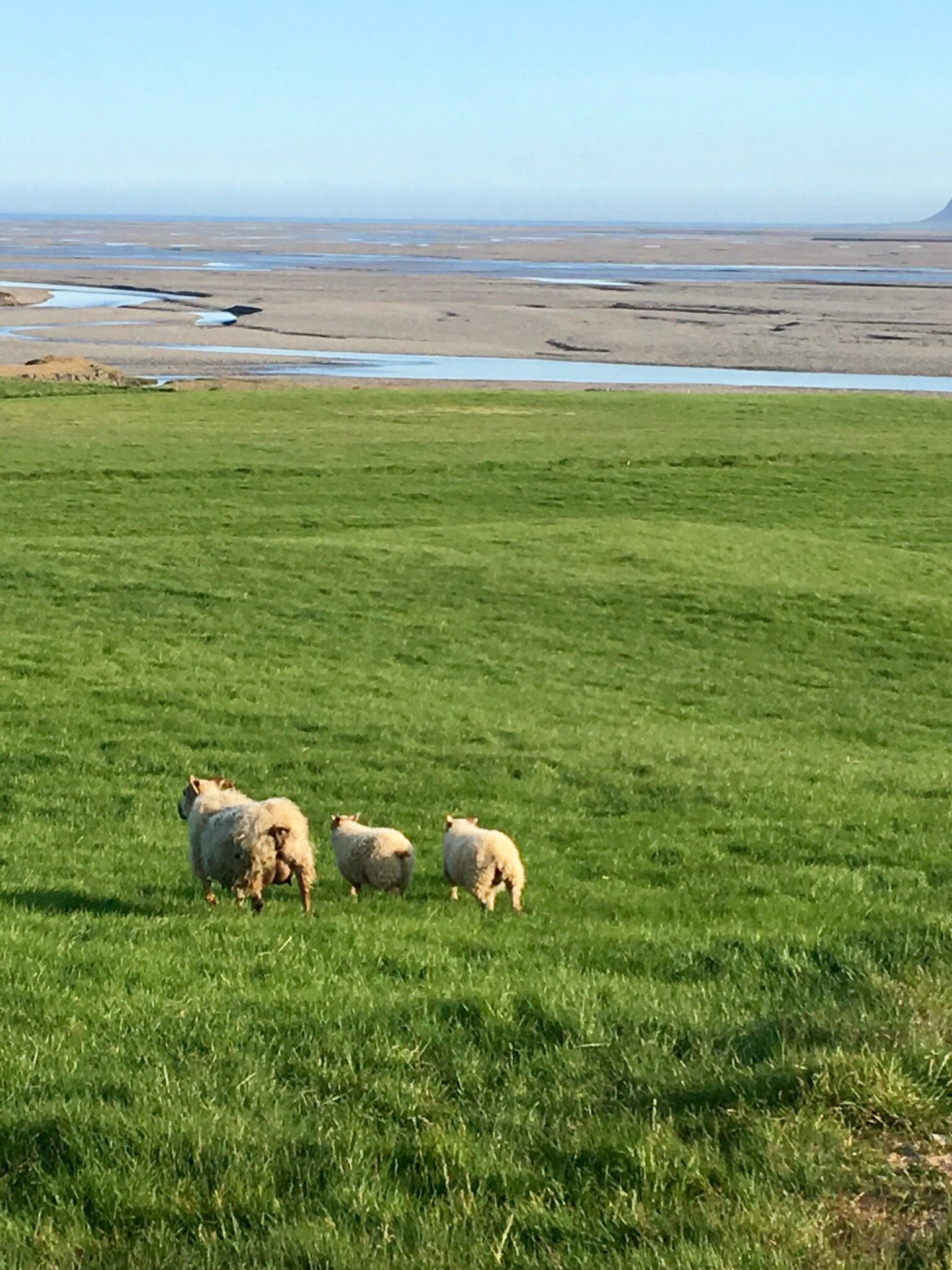 Brekka í Lóní Farm Stay-官方