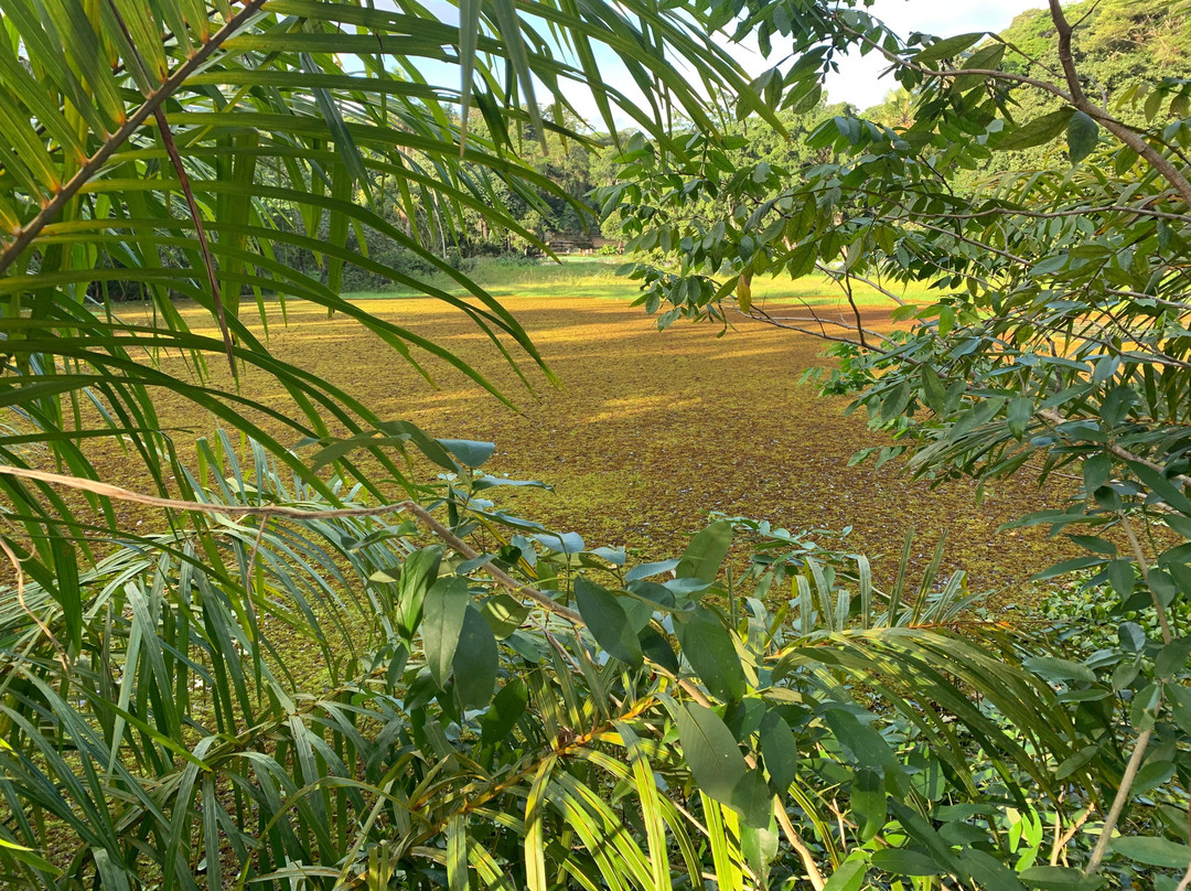 Parque Estadual de Dois Irmãos景点图片