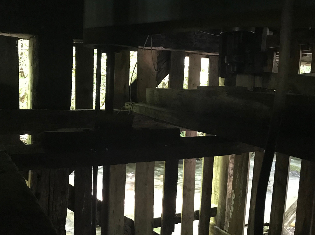 Mingus Mill-大雾山国家公园必去景点