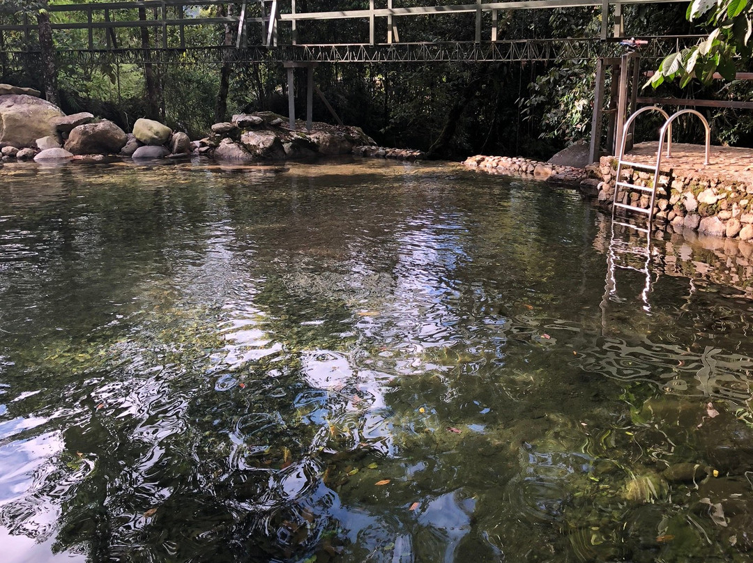 Manantiales del Campo主图