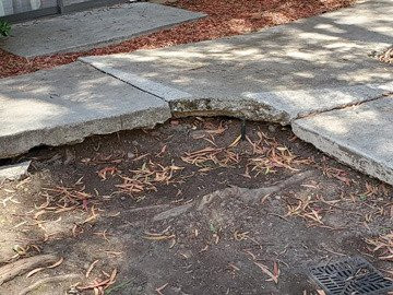 Residence Inn by Marriott San Francisco Airport/San Mateo主图