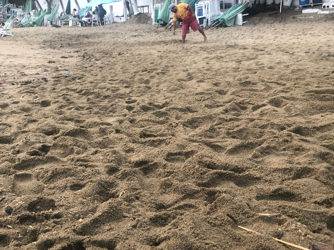 Playa La Audiencia景点图片