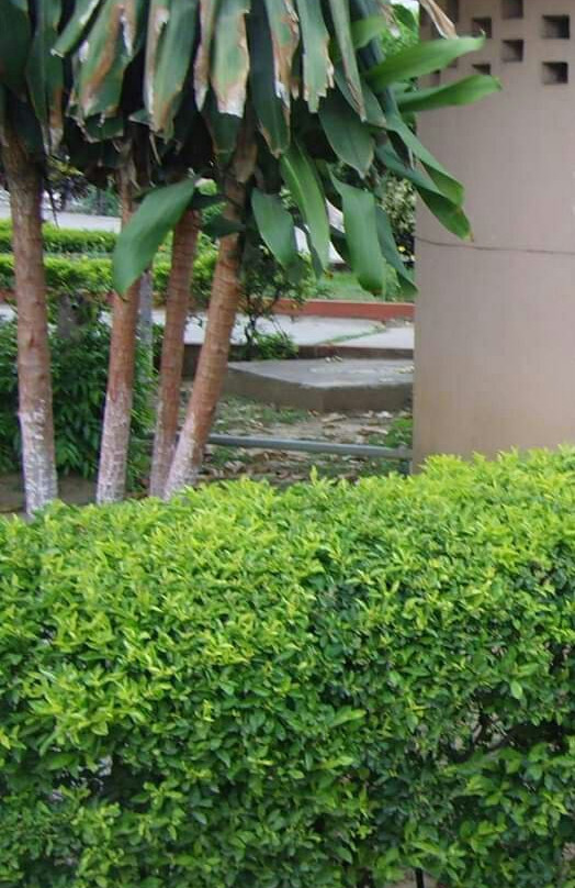 Patna Planetarium-巴特那必去景点