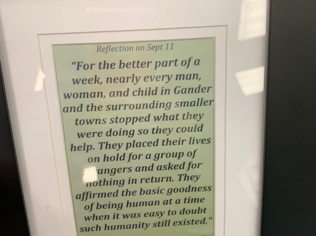 Beyond Words Tours-Gander必去景点