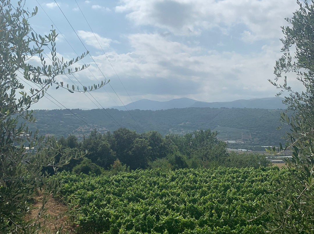 Domaine de Toasc-尼斯必去景点