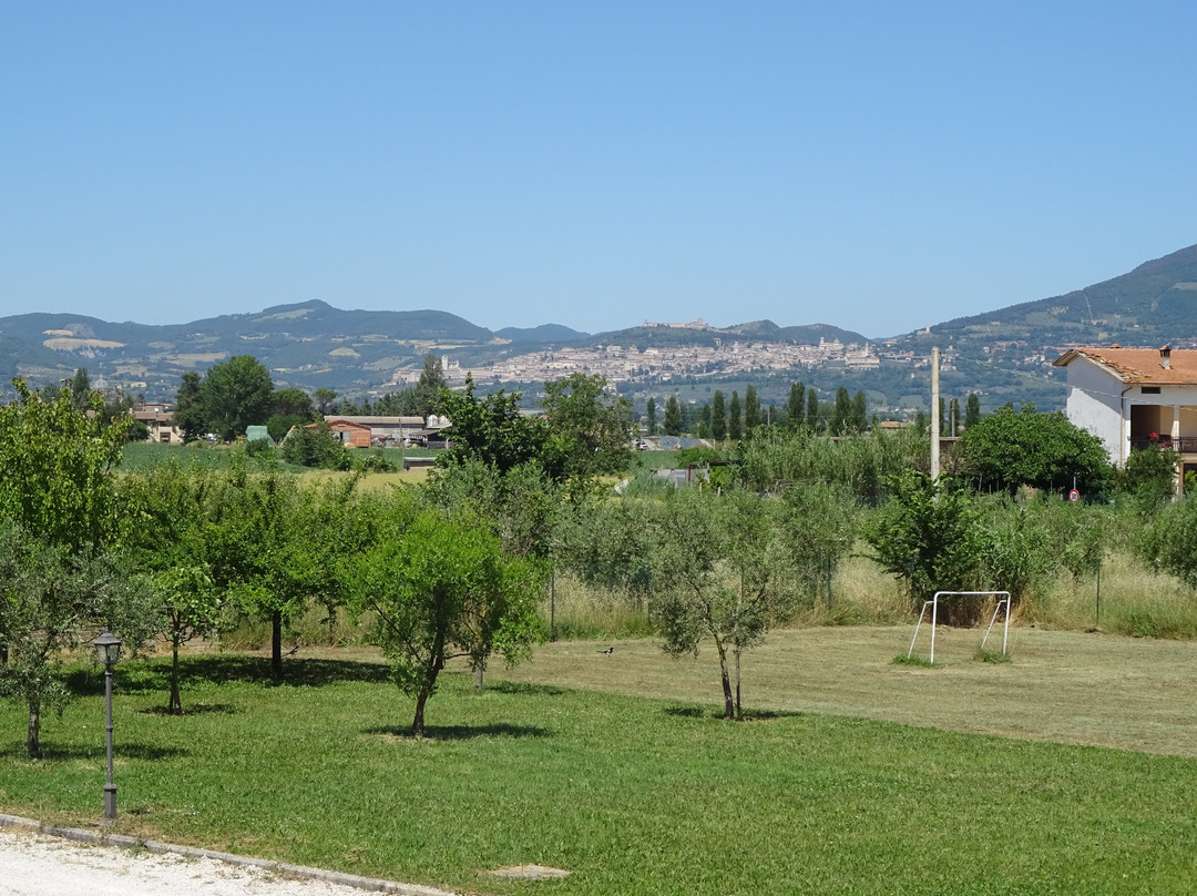 Le Rondini Di Francesco Di Assisi - Agriturismo主图