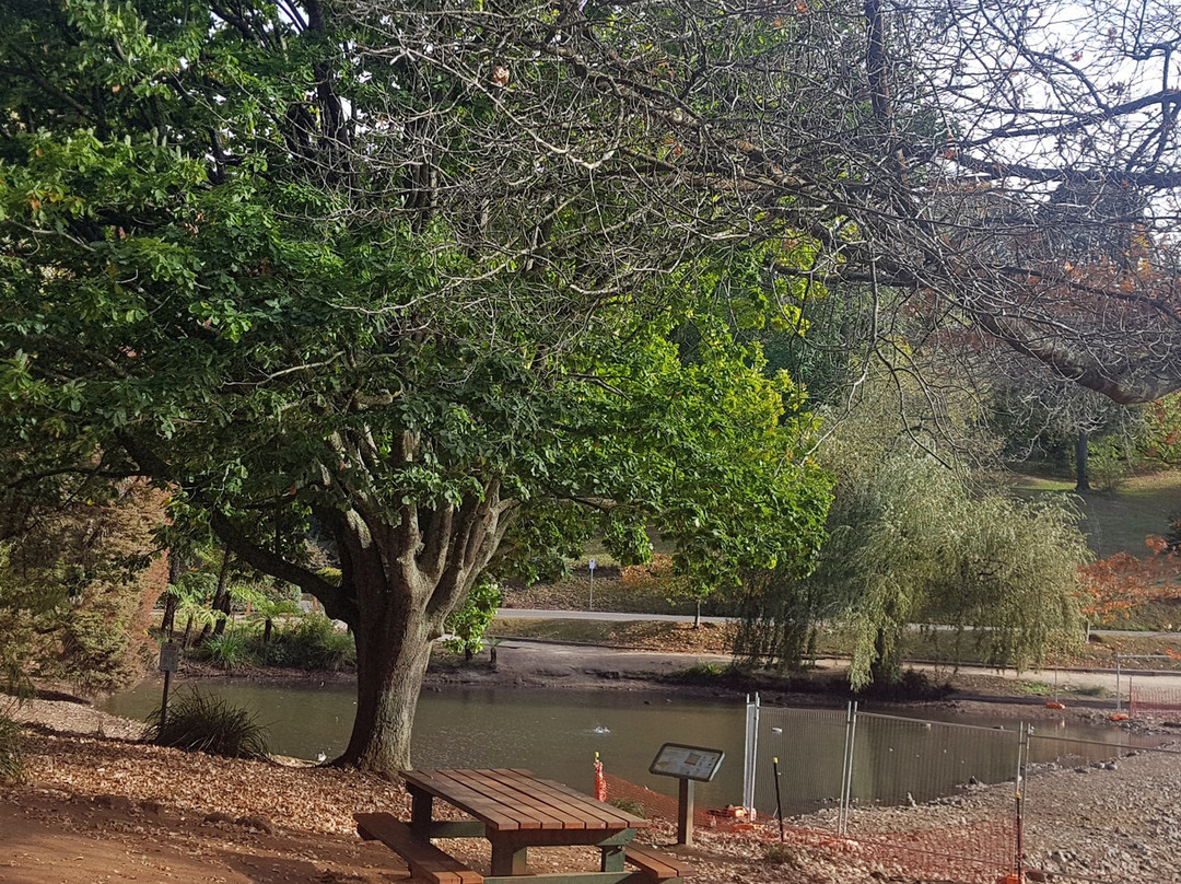 Emerald Lake-Emerald必去景点