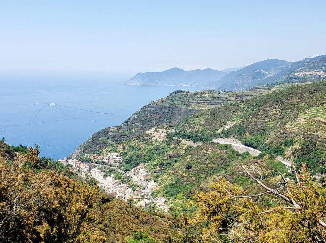 Trail 2景点图片