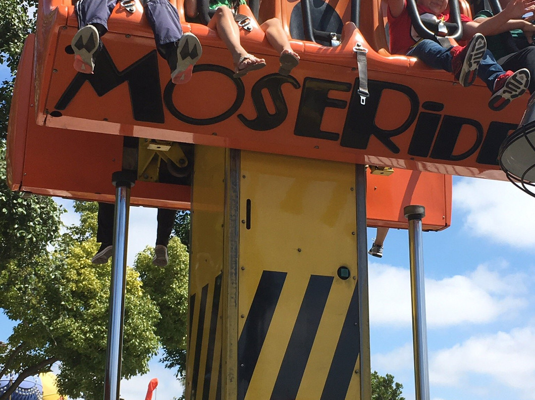 冒险城-阿纳海姆必去景点