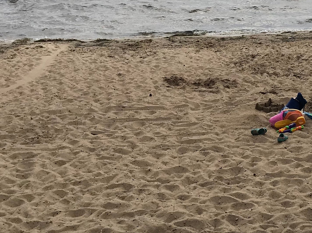 William Mitchell State Park-Cadillac必去景点