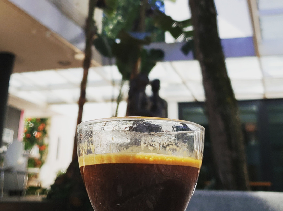 Museu Lasar Segall-圣保罗必去景点