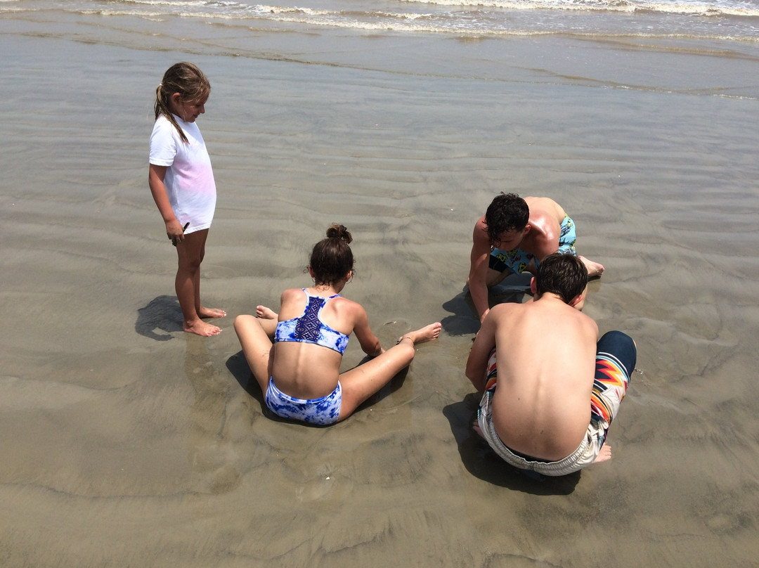 Galveston Pocket Park 2-盖维斯顿必去景点