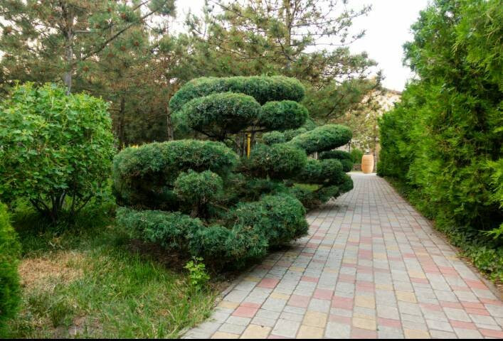 Oreanda Resort Hotel主图