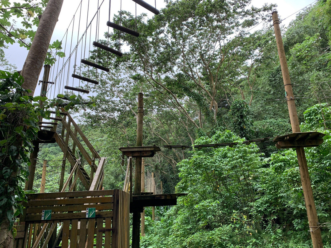 Grenada Highwire-Grand Etang National Park必去景点