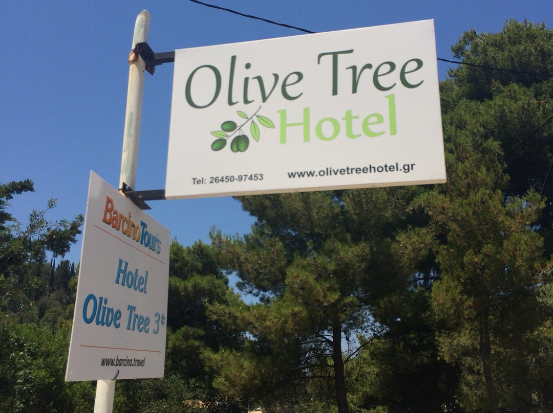 Olive Tree Hotel主图