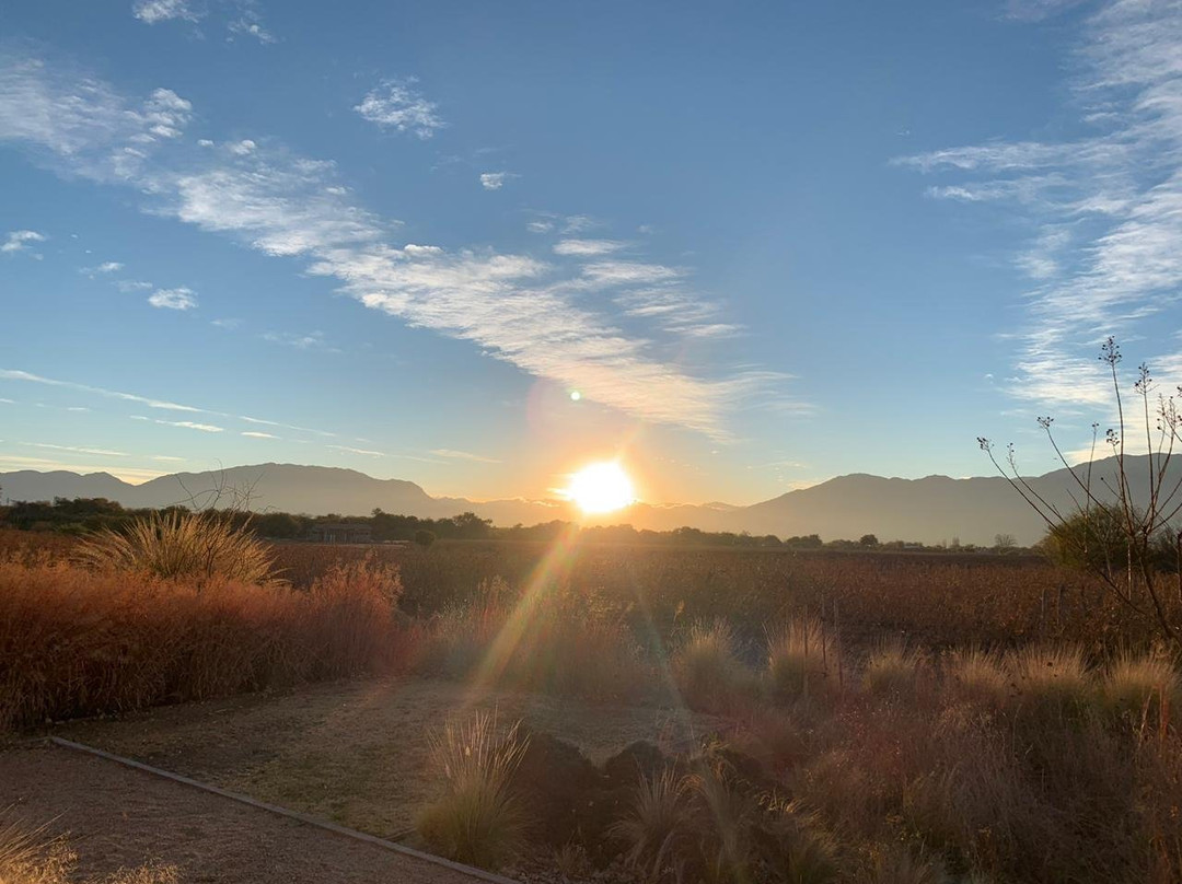 Grace Cafayate主图