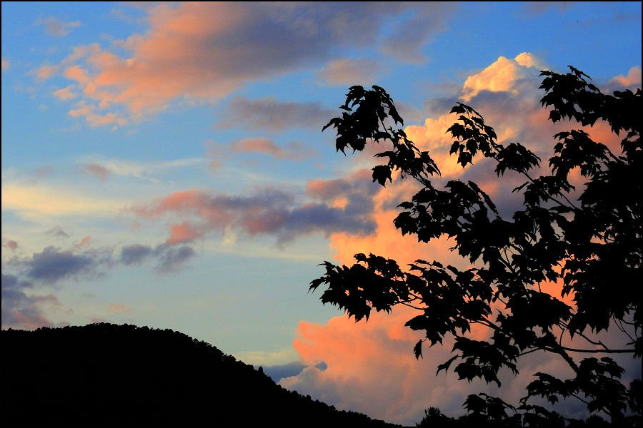 The Greystone Inn主图