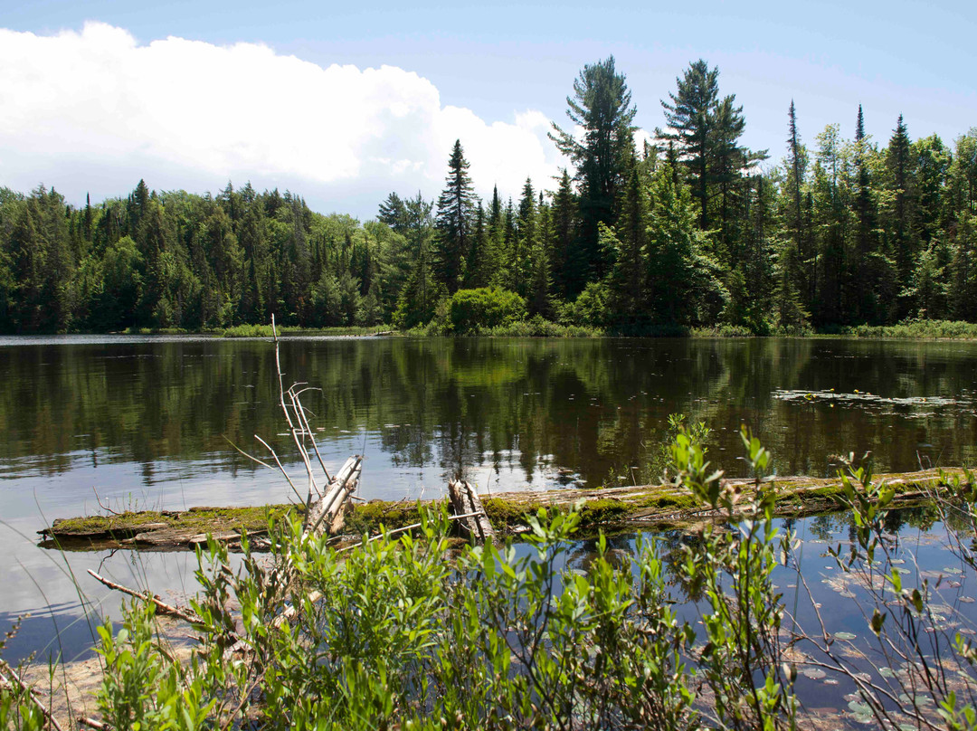 Peck Lake Trail景点图片