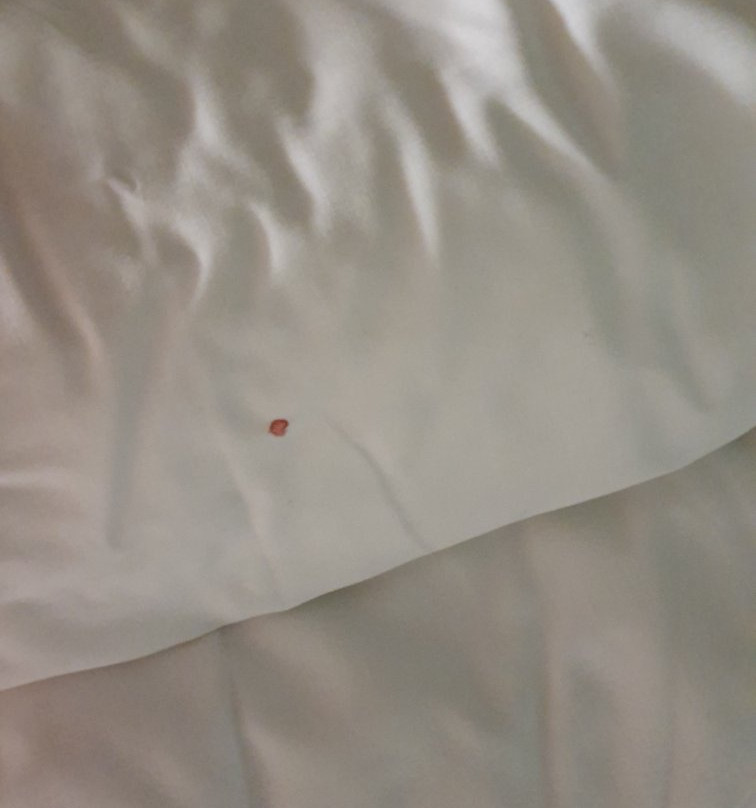 B&B HOTEL Montpellier Centre Le Millénaire主图