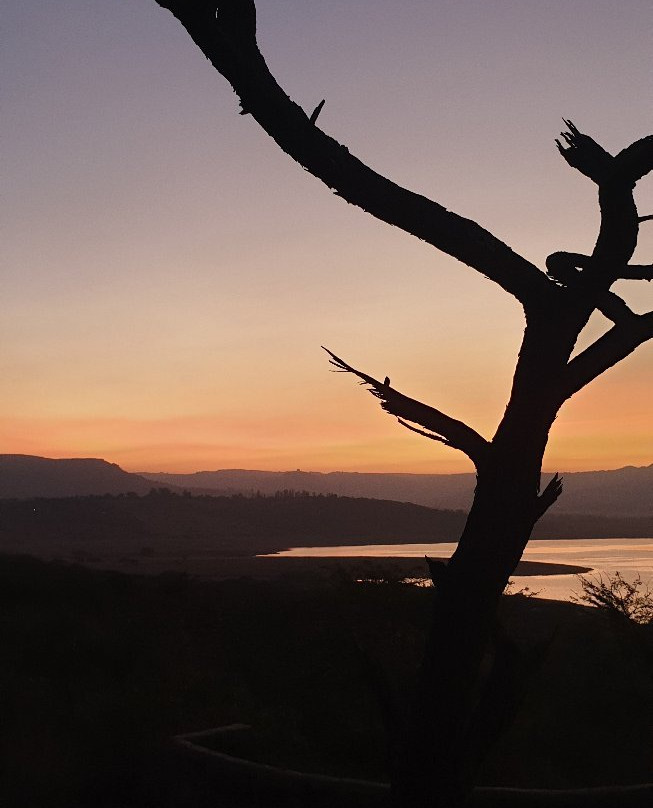 Albert Falls Game Reserve-彼得马里茨堡必去景点
