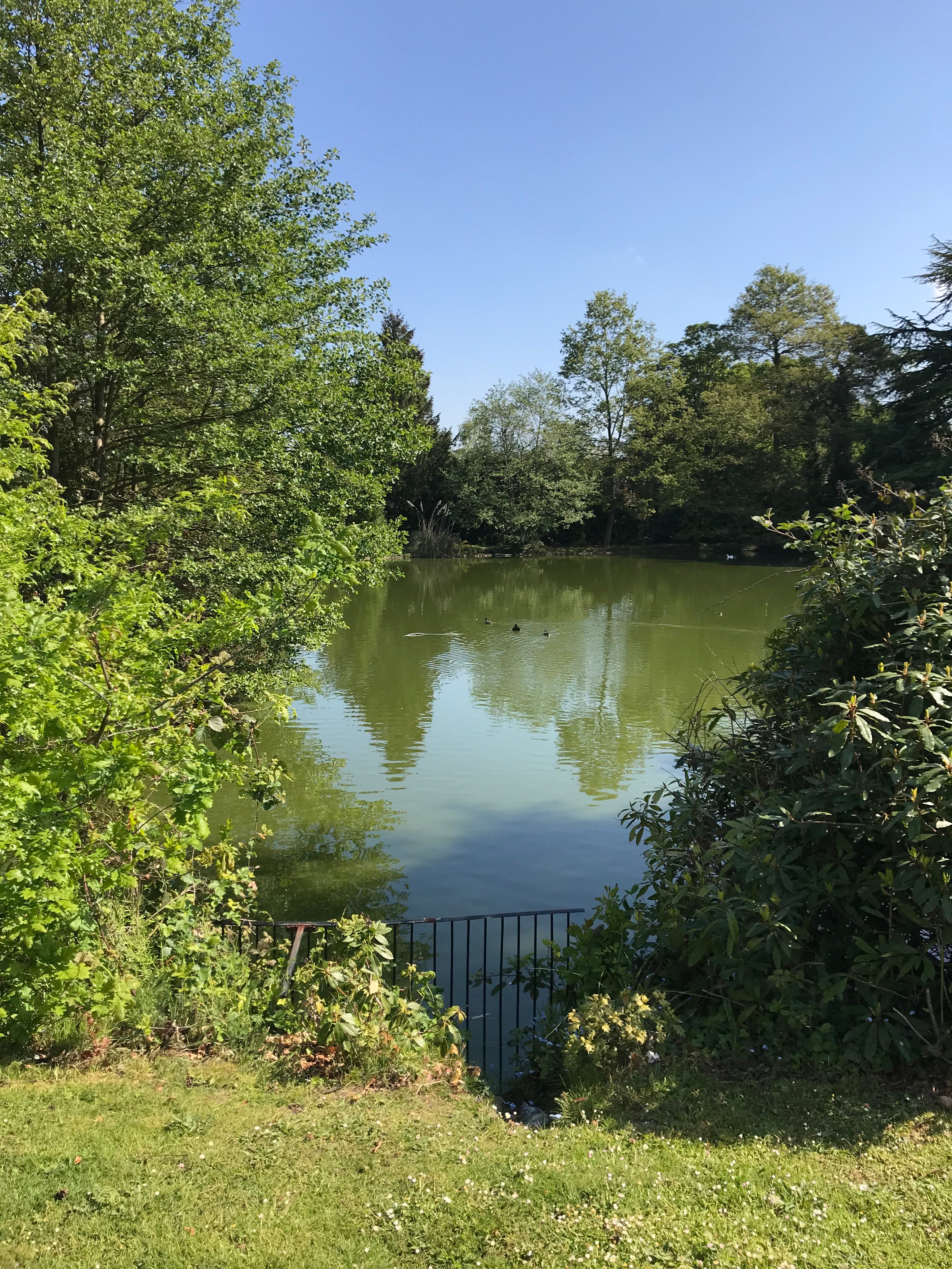 Worplesdon Place (Hotel)-浴室