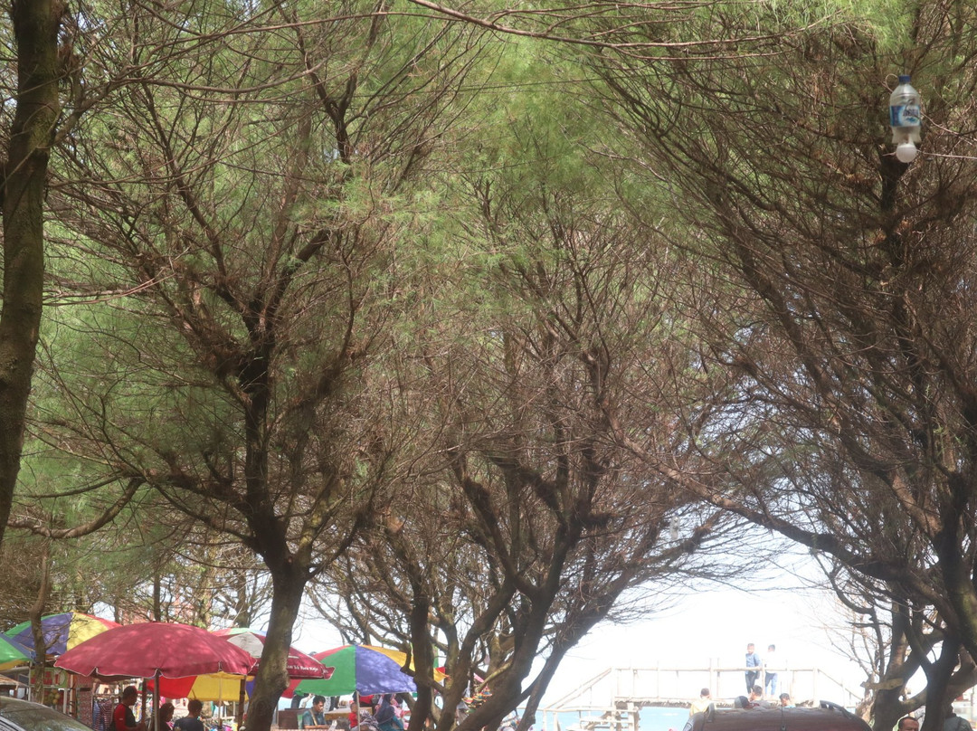 Cemara Sewu Beach景点图片