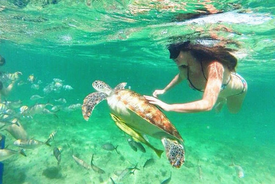 coral go experience-Mahahual必去景点