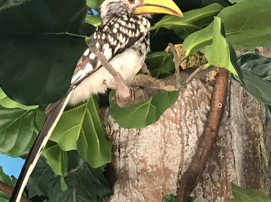 Harber Wildlife Museum-Sherman必去景点