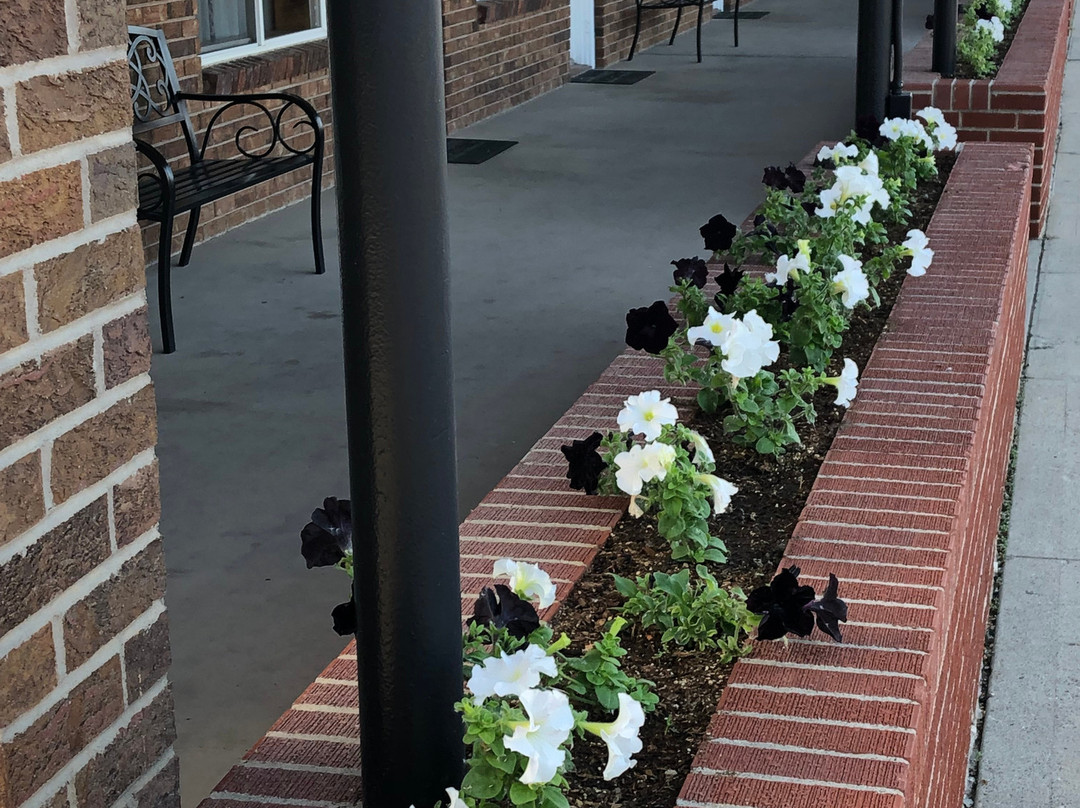 Days Inn by Wyndham Worland主图