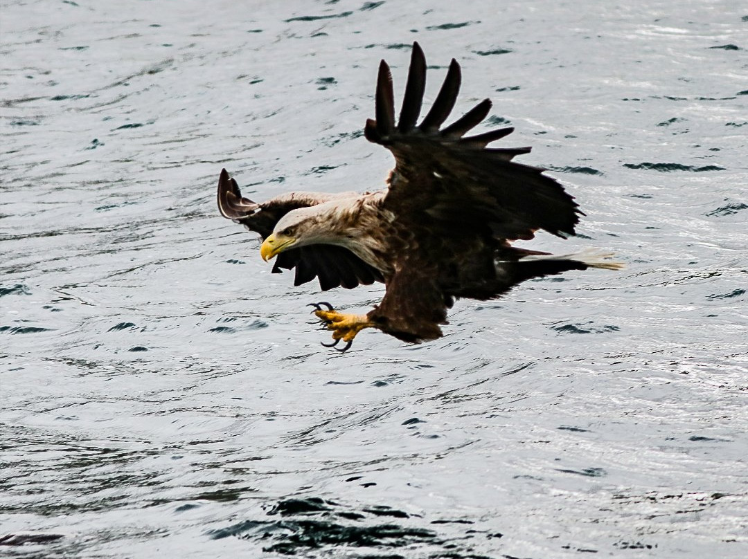 Fascadail Bed & Breakfast主图