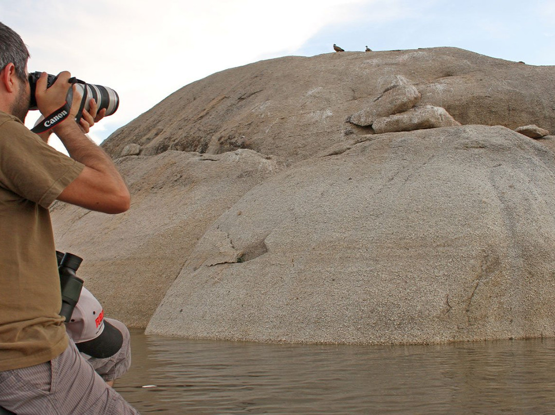 Tajo Natural Birdwatching & Fishing景点图片