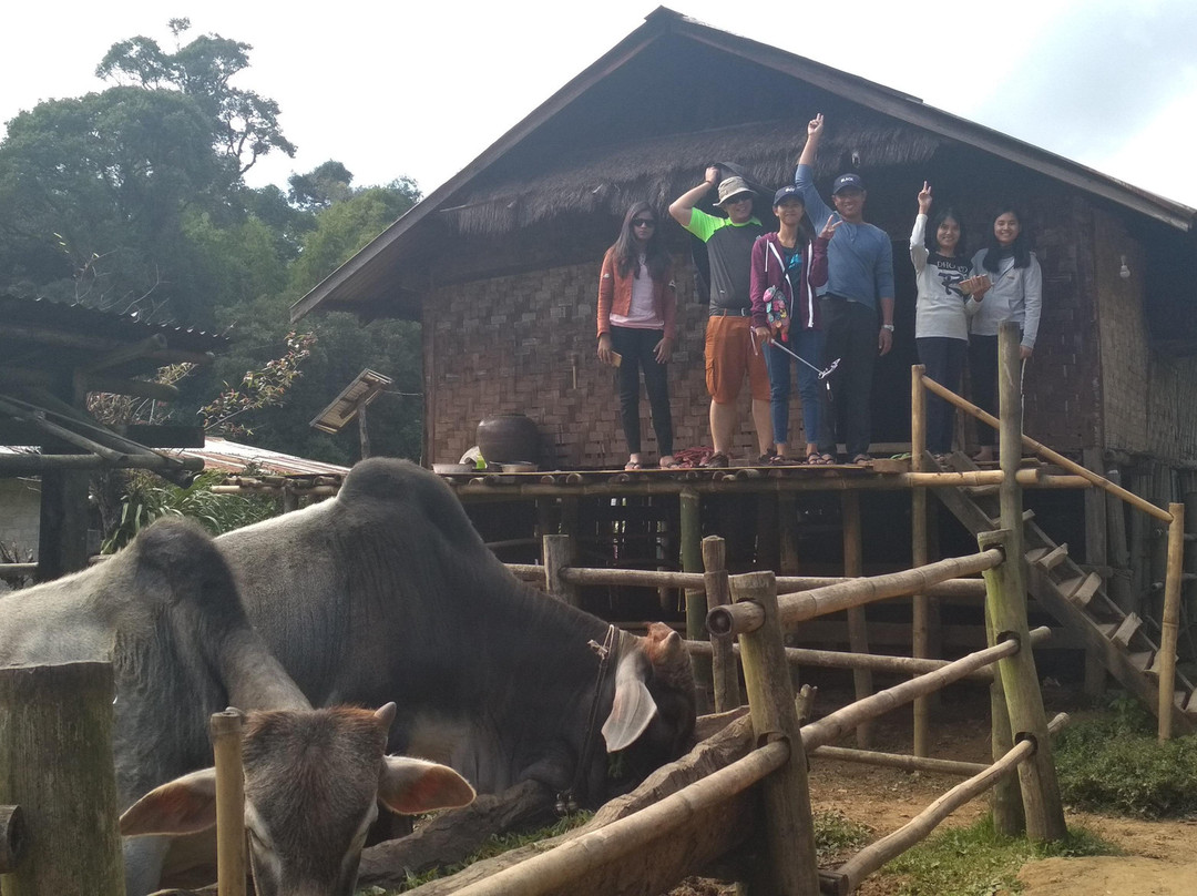 Babylon Trekking and Camping Tour-Pindaya必去景点