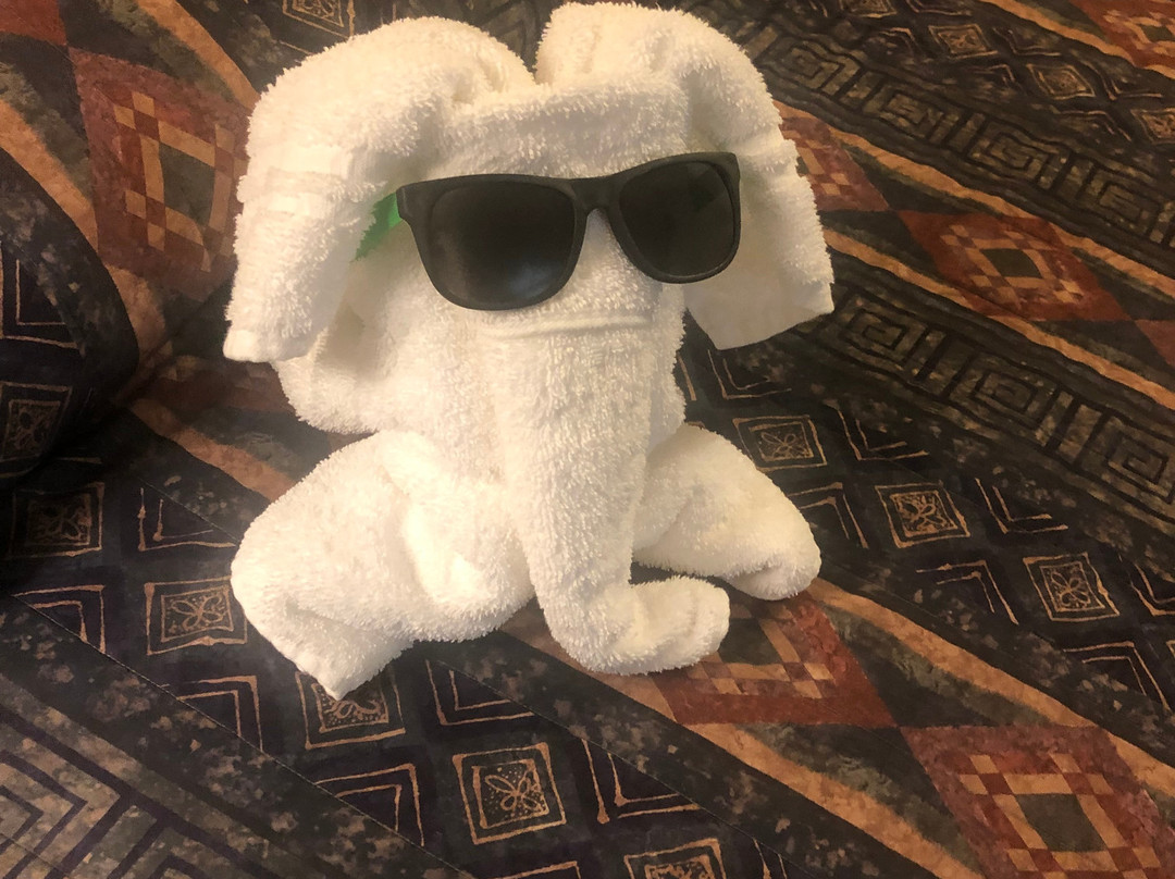 Holiday Motel Clayton主图