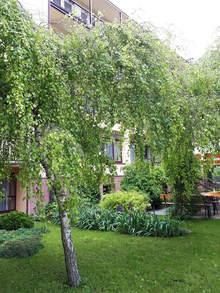 Hotel Gromada - Busko Zdroj-portrait