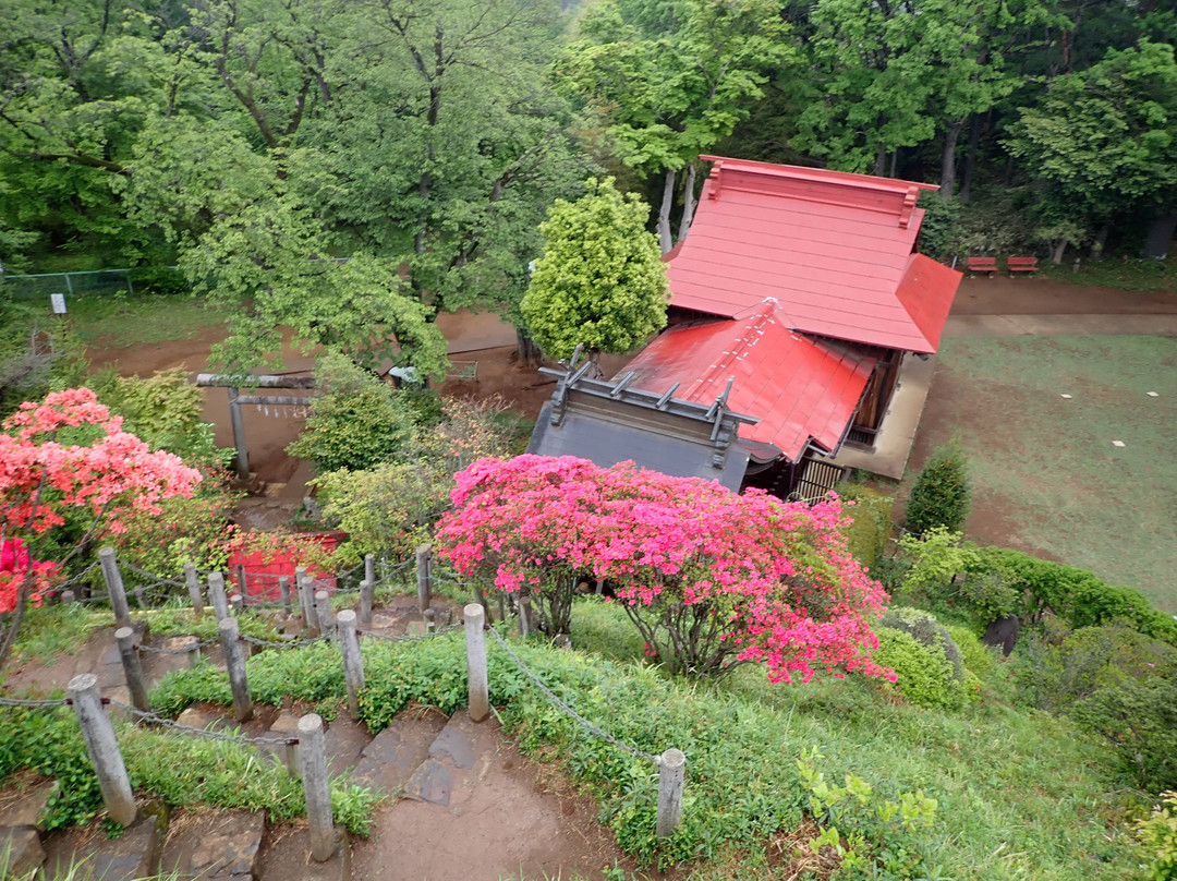 Arahata Fuji-所泽市必去景点
