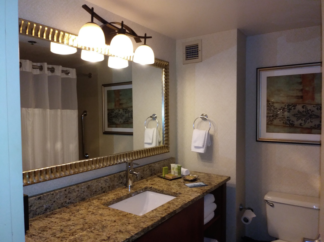 希尔顿纽约肯尼迪机场酒店主图