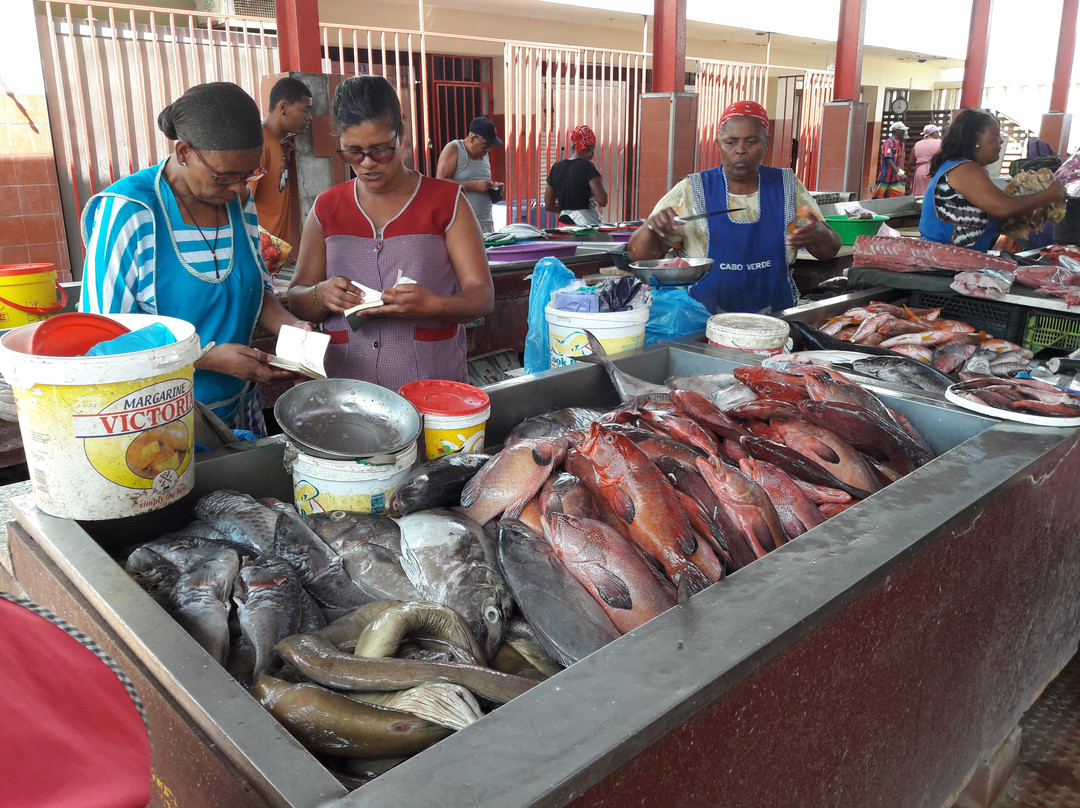 Mercado de Peixe景点图片