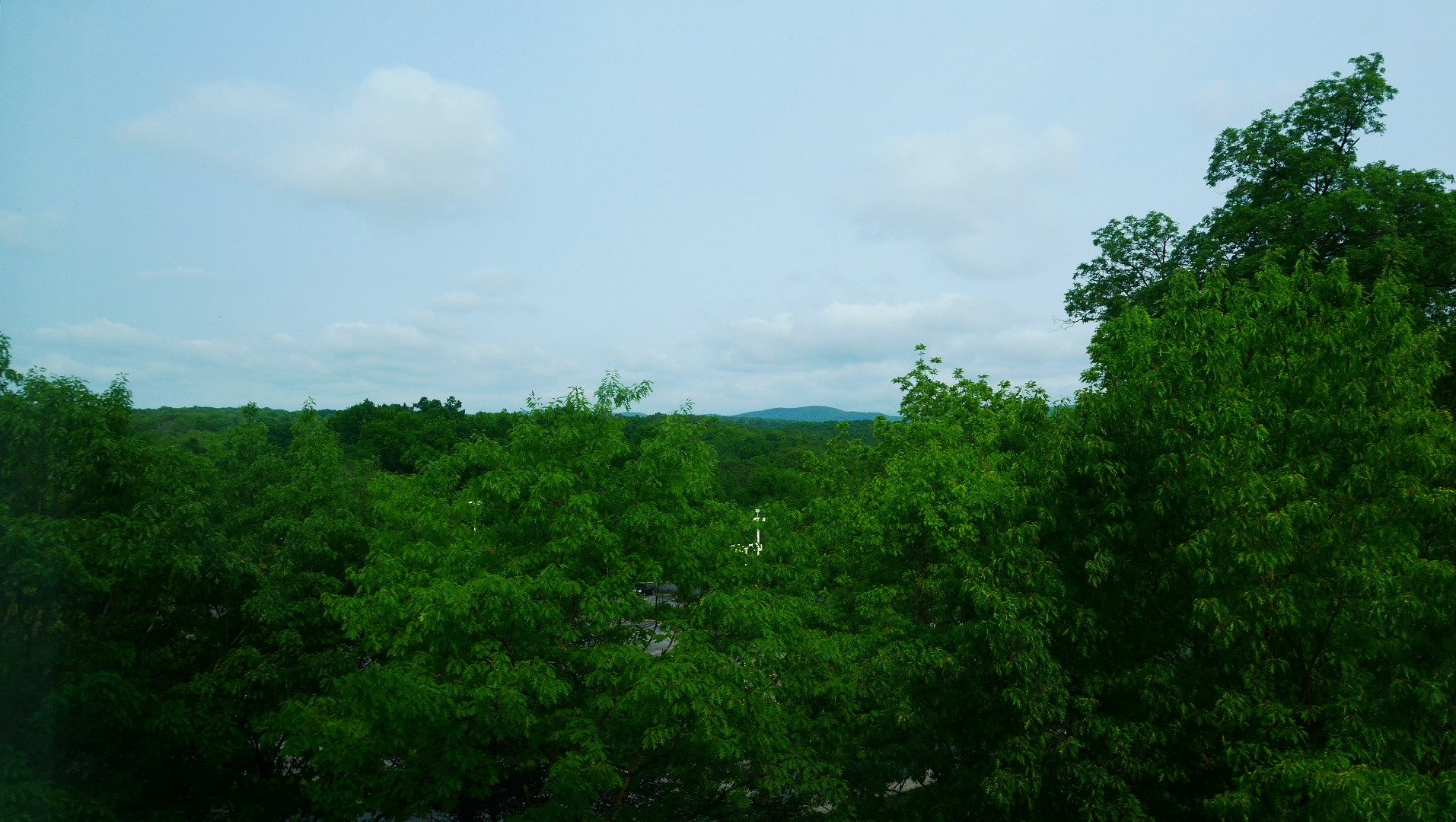 The Penn Stater Hotel & Conference Center-酒店景观