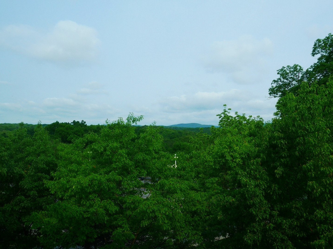 The Penn Stater Hotel & Conference Center主图