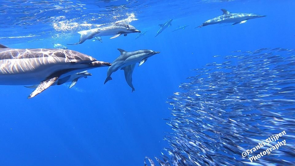 Calheta Touristic Promotions-卡列塔必去景点