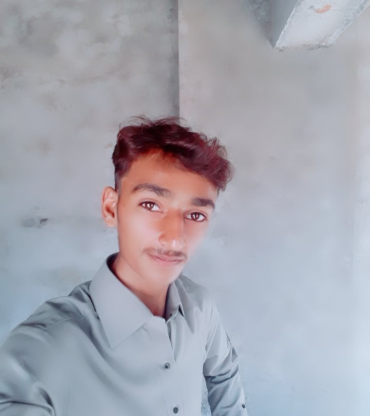 Kallar Kahar餐馆和美食-Spice Factory