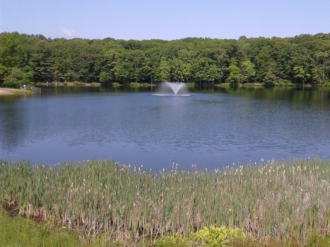 Mohegan Park-诺威奇必去景点